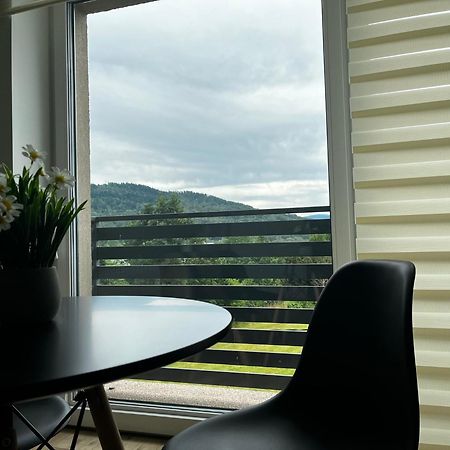 Beskid Rest Apartments Żywiec エクステリア 写真