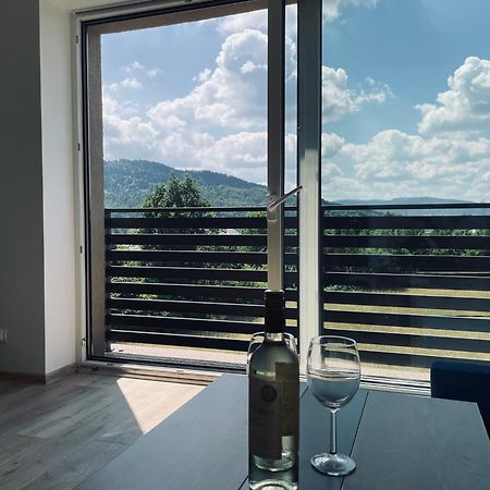 Beskid Rest Apartments Żywiec エクステリア 写真