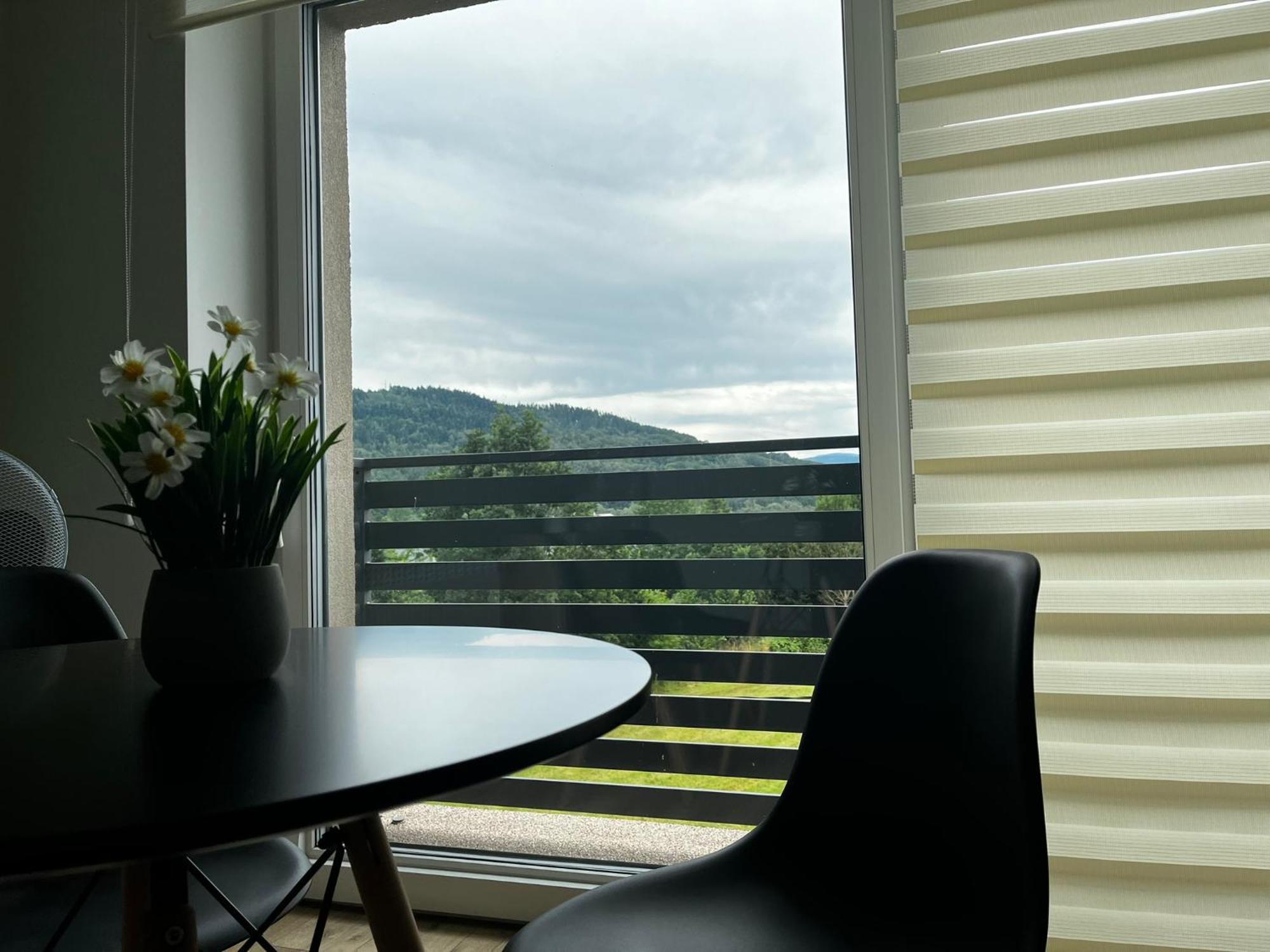 Beskid Rest Apartments Żywiec エクステリア 写真