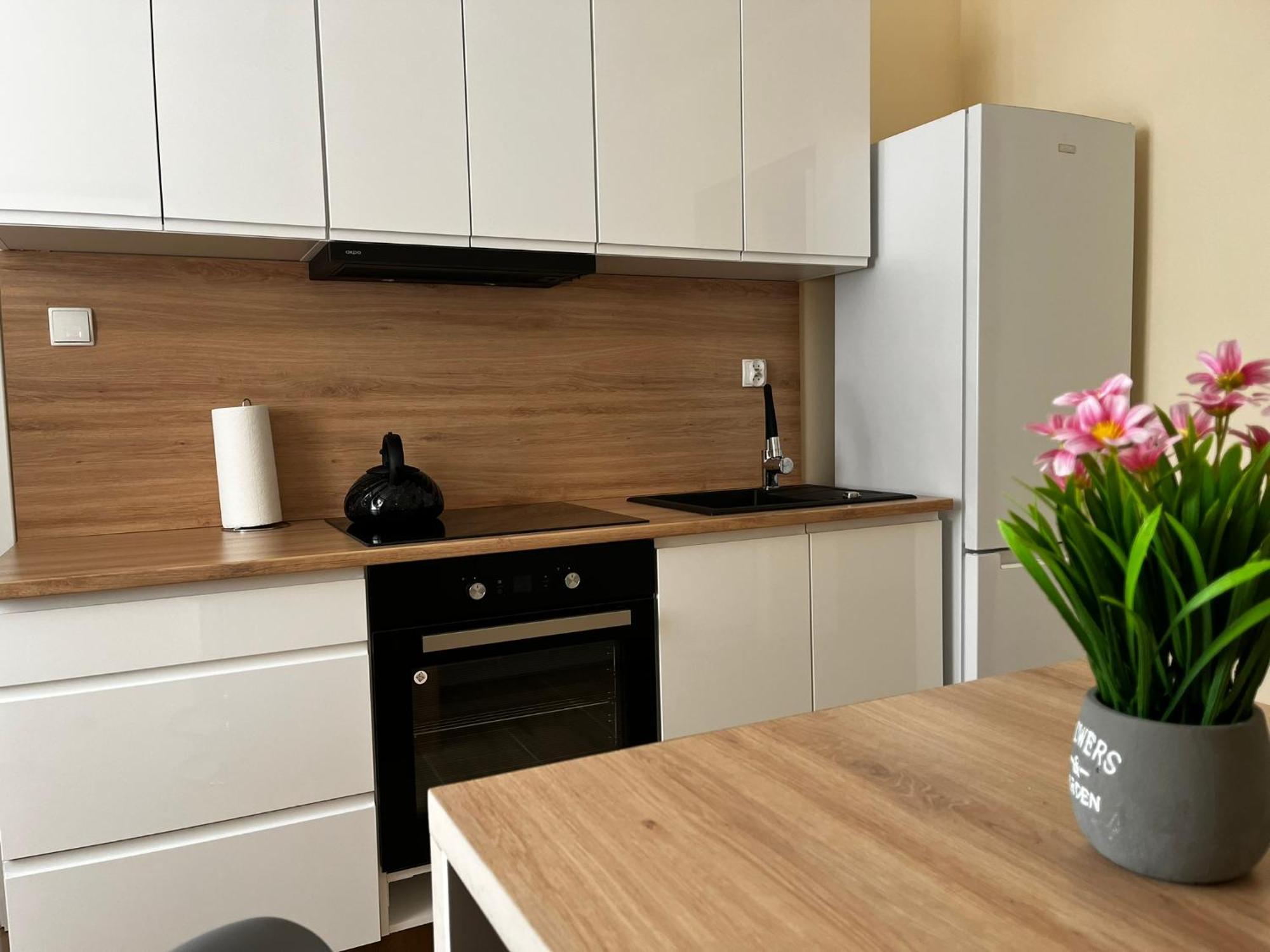 Beskid Rest Apartments Żywiec エクステリア 写真