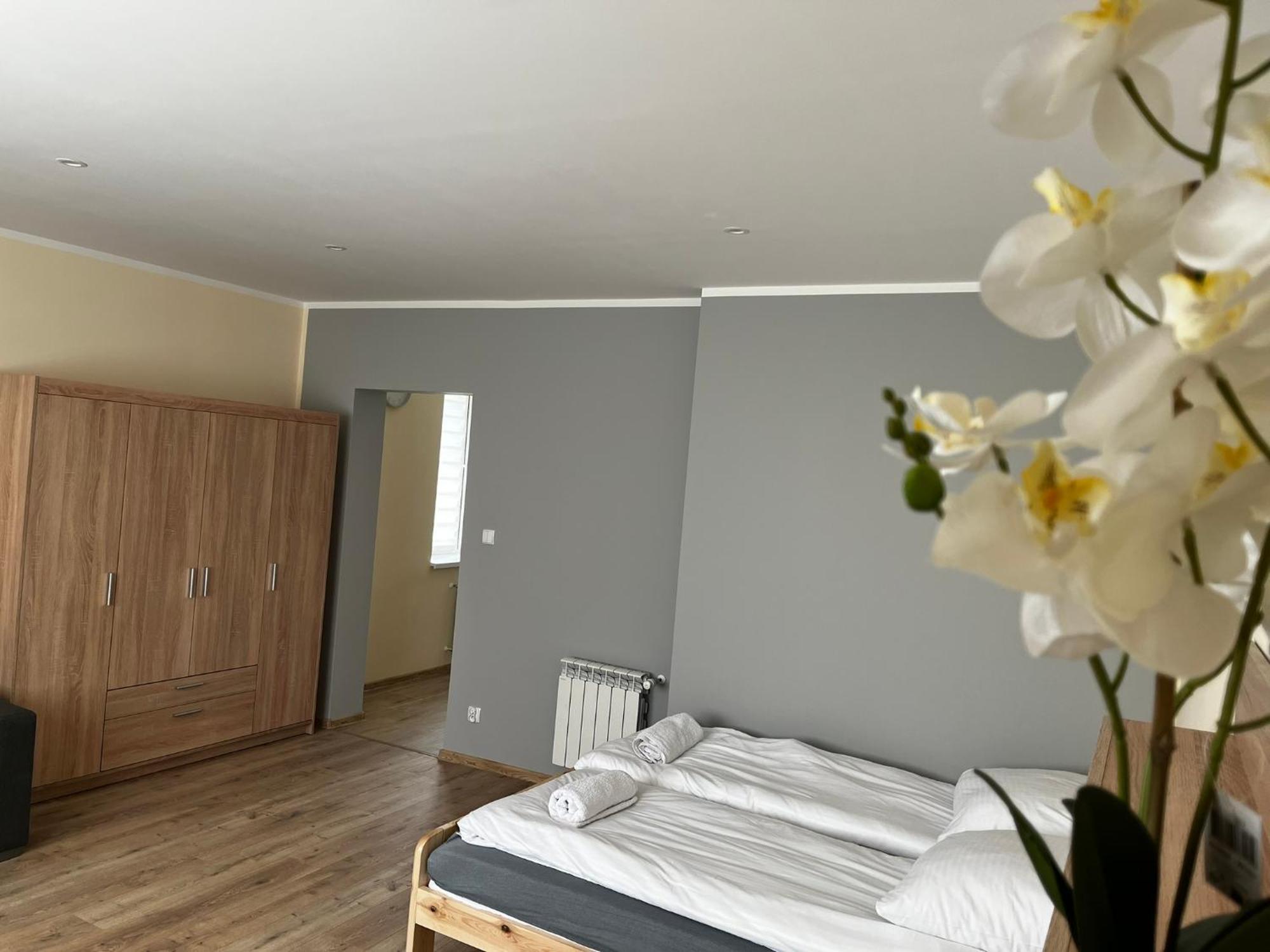 Beskid Rest Apartments Żywiec エクステリア 写真
