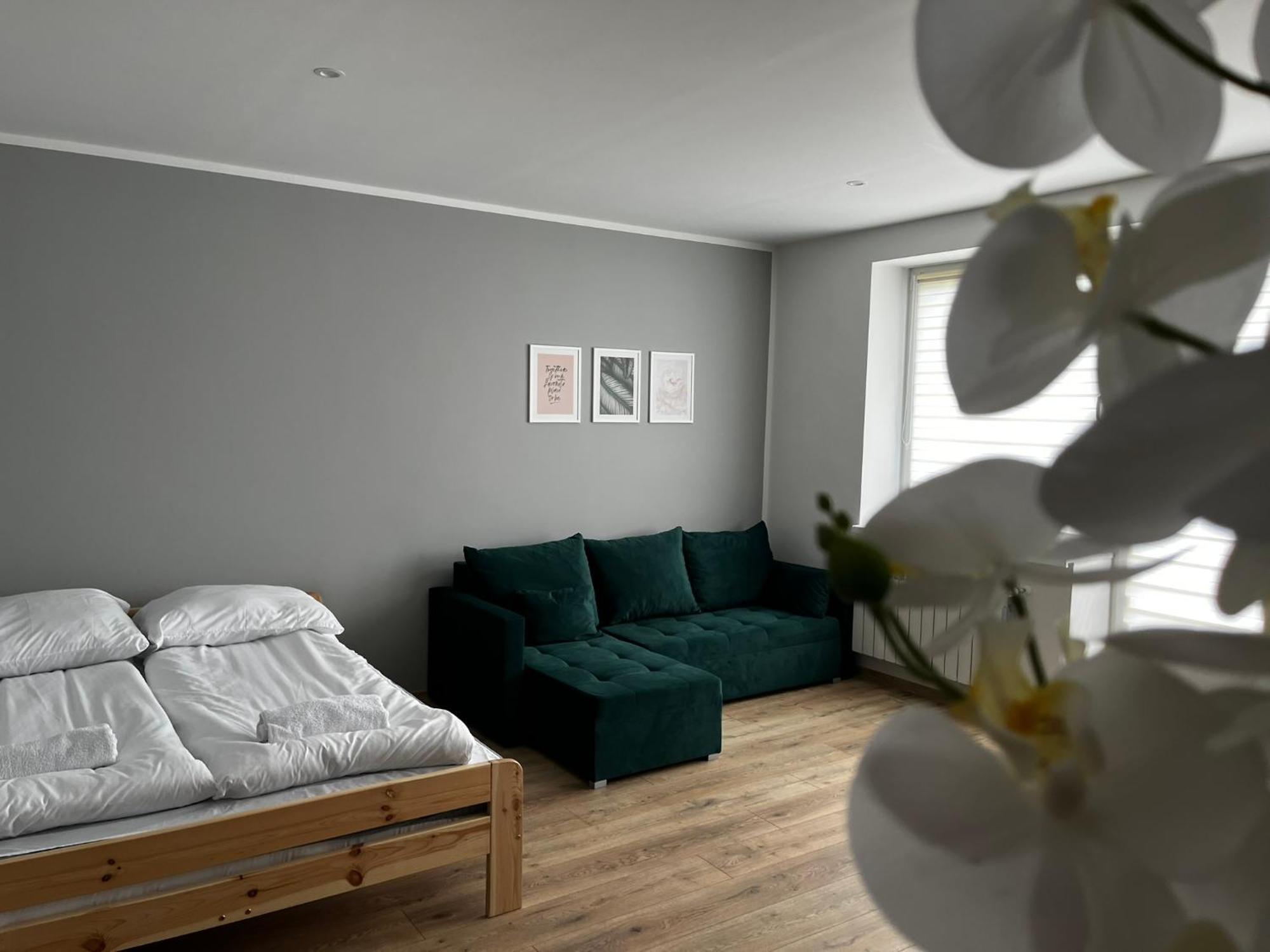 Beskid Rest Apartments Żywiec エクステリア 写真
