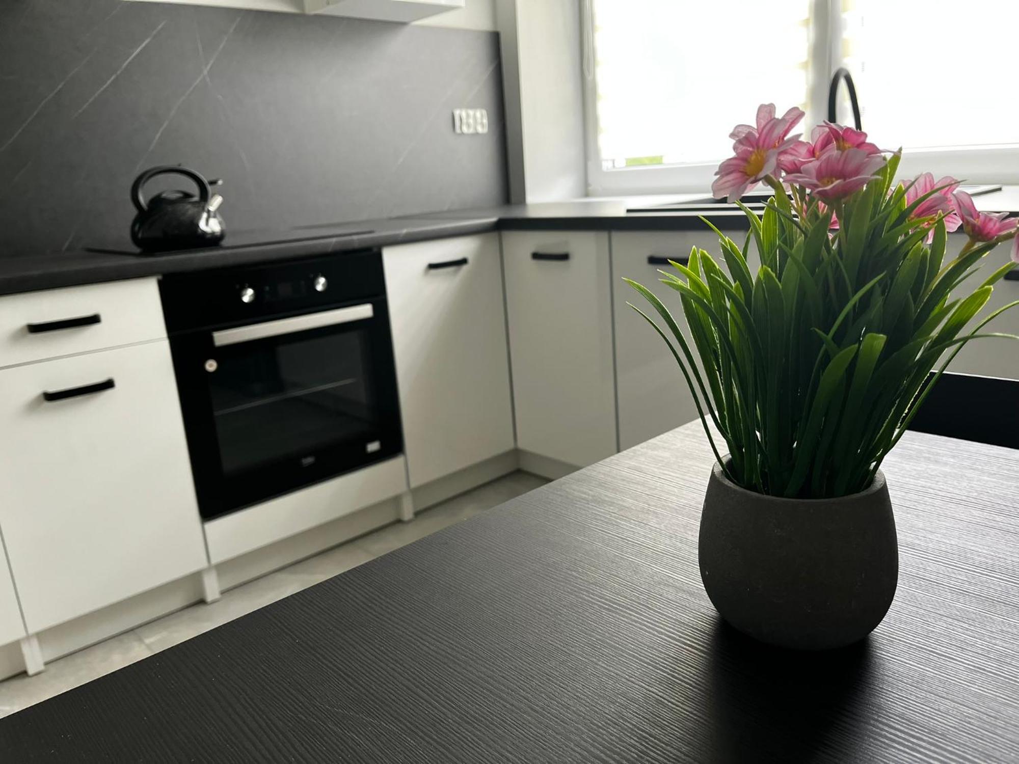 Beskid Rest Apartments Żywiec エクステリア 写真