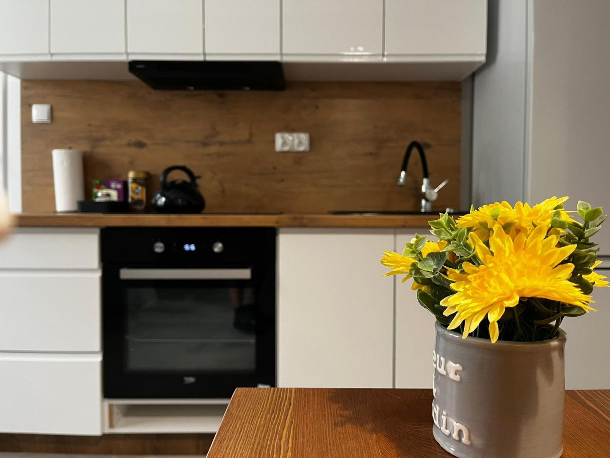 Beskid Rest Apartments Żywiec エクステリア 写真