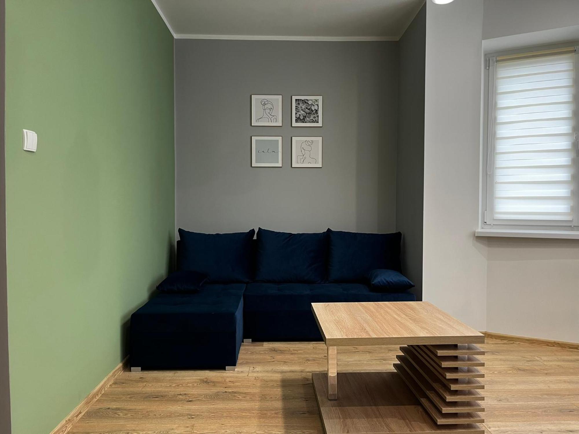 Beskid Rest Apartments Żywiec エクステリア 写真