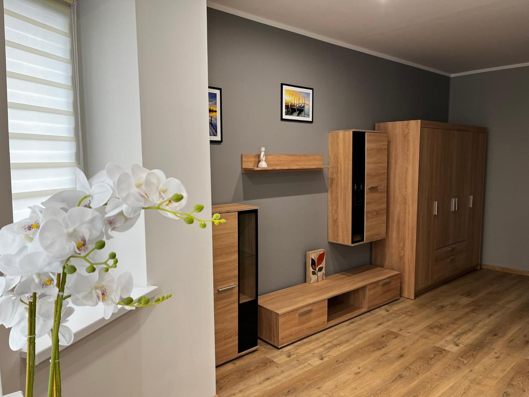 Beskid Rest Apartments Żywiec エクステリア 写真