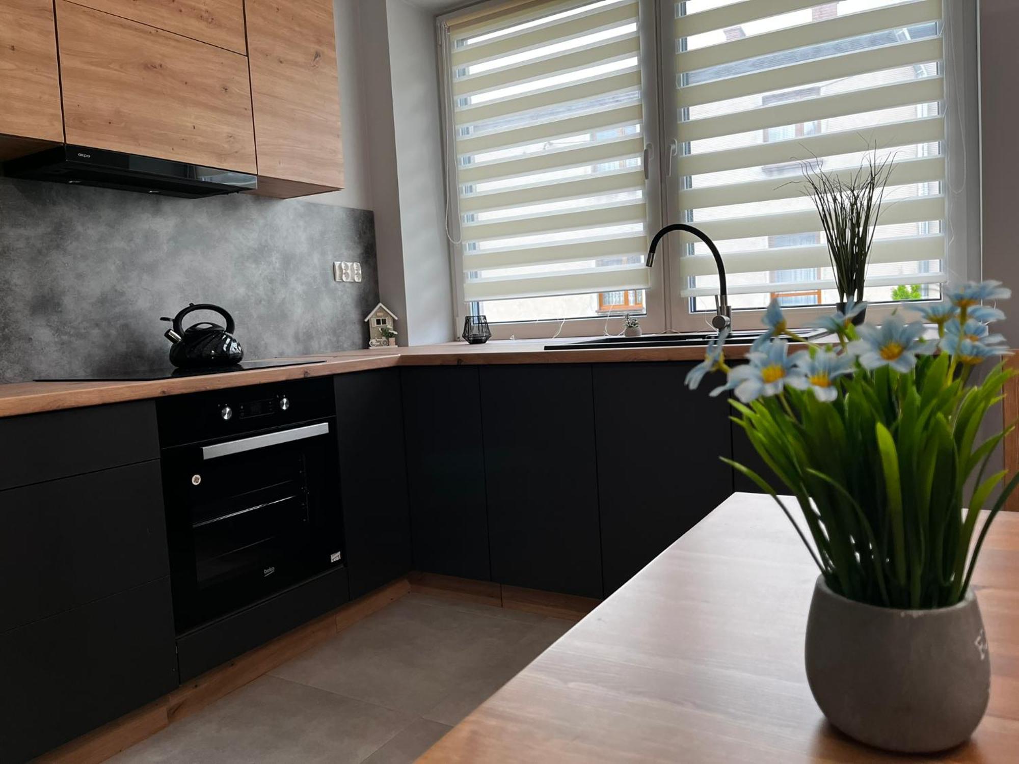 Beskid Rest Apartments Żywiec エクステリア 写真